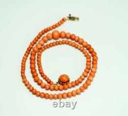 1890's Victorian Undyed Red Salmon Coral Beads Necklace Rolled Gold Clasp 15gr