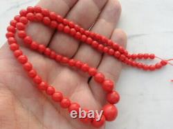 19 Grams Atq. Beautiful Red Coral Round Gradual Beads Necklace