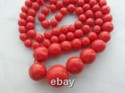 19 Grams Atq. Beautiful Red Coral Round Gradual Beads Necklace