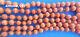 Antique Naturalangel Skin Coral Bead Necklace-130 Beads! -4mm -age 1930s