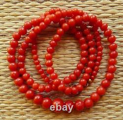 Ancien Collier Perle Corail Rouge Bijou Antique Red Coral Bead Necklace Jewelry