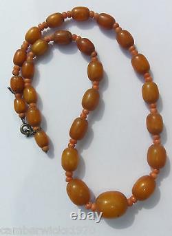 Antique Genuine Butterscotch Amber & Coral Bead Necklace, 16 1/2, 18.3g