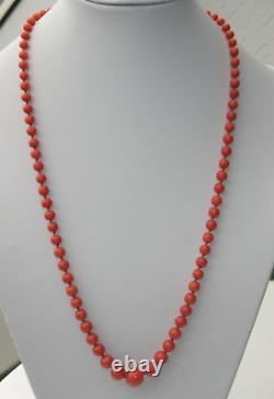 Antique Genuine Sardinian Natural Red Coral Bead Necklace 18K Clasp Art Nouveau