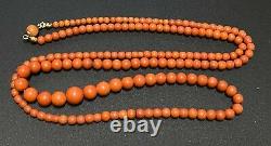 Antique Victorian Golden Clasp Natural Salmon Coral Graduated Bead Necklace