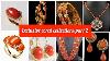 Exclusive Coral Jewellery Collections Part 2