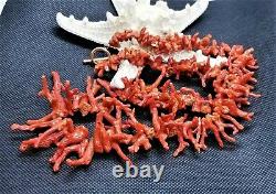 Rare Mediterranean Sea Sardinia Blood Red Coral Brunches 14k Gold Necklace