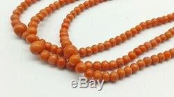 Victorian 3 Strand Graduated Salmon Coral Bead Necklace Gold Clasp. 34.5 gs