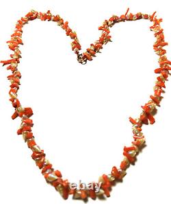 Victorian Necklace Rare Tasmanian Maireener Shells & Coral 9ct Clasp