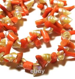 Victorian Necklace Rare Tasmanian Maireener Shells & Coral 9ct Clasp