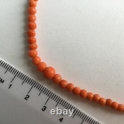 Vintage graduated undyed coral bead necklace. Approx. 45cm long. Good colour